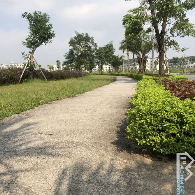 Đất DV Thăng Long 9 Kim Chung Phân Lô Vỉa Hè Vị Trí Vàng Hạ Tầng Đẹp Giá Đẹp 125 Triệu 1m2 - 5