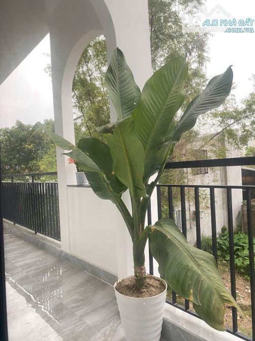 Cần bán gấp nhà 2 tầng khu quy hoạch Ngọc anh , quận thuận hóa , TP Huế - 9