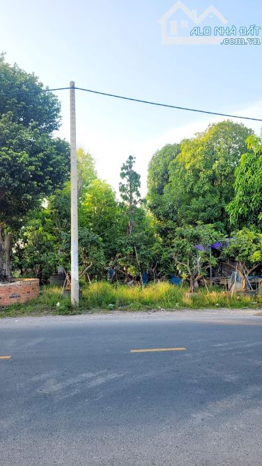 Đất Đẹp 42x68m Vuông Vức Mặt Tiền Đường Bùi Công Trừng X.Nhị Bình Hóc Môn Giá 36 Tỷ