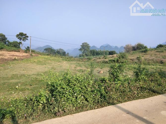 Hơn 900m2 có 187m2 thổ cư tại Phú Vinh, Tân Lạc, Kim Bôi.