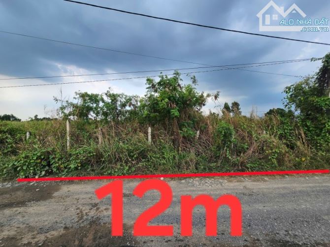 Lô đất đẹp MT XTS 8 Xuân Thới Sơn ,Hóc Môn ,DT 850m2 . Giá chỉ  10 tỷ (TL)