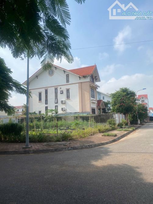 Bán đất lô góc biệt thự Anh Dũng 8 - Dương Kinh - DT 300m - Mt 15m - Giá bán 30 tr/m