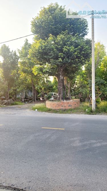Đất Đẹp 42x68m Vuông Vức Mặt Tiền Đường Bùi Công Trừng X.Nhị Bình Hóc Môn Giá 37 Tỷ