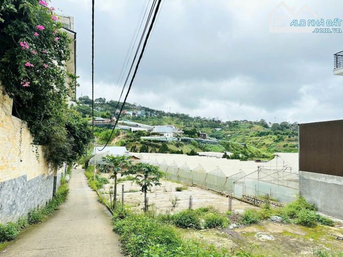 🏡 HẠ GIÁ GIẢM THÊM 1 TỶ ĐẤT 429M2 ĐƯỜNG Ô TÔ AN BÌNH - KHU KINH DOANH LƯU TRÚ HÚT KHÁCH