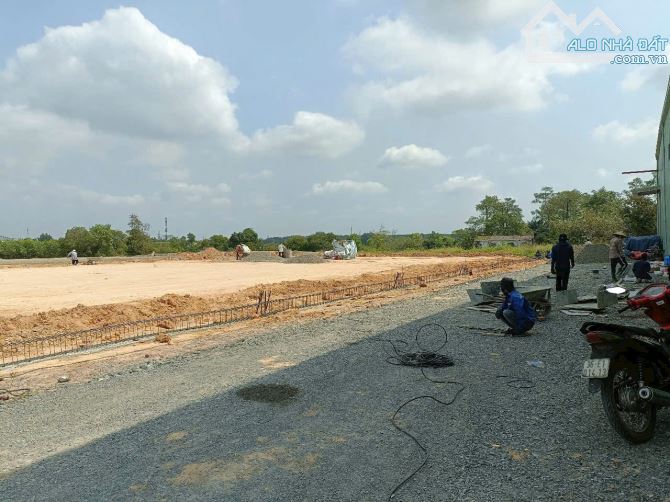 Bán đất xây xưởng Mỹ Phước Bình Dương. TDT 23.000m2 có 12.600m2 skc. Giá 6,5 tr/m2