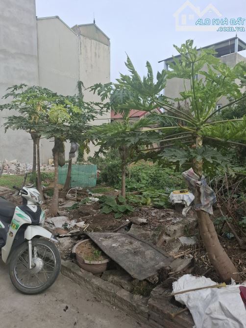 GIA ĐÌNH CẦN BÁN LÔ ĐẤT TAM HƯNG, THANH OAI, GẦN CHỢ, GẦN ĐƯỜNG CENCO5,VÀNH ĐAI GIÁ 3,9 TỶ