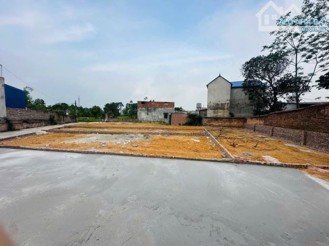 Chốt ngay ✅ đất F0 Phú Cường - Minh Phú Sóc Sơn giá từ 1,5x tỉ/lô