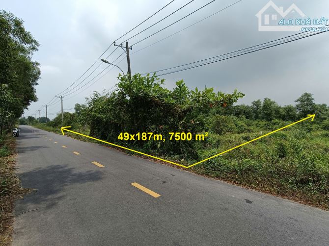 Bán đất mặt tiền đường Cá Lăng, xã Phú Hoà Đông Củ Chi, 49x187m, 7500m², 19.5 tỷ
