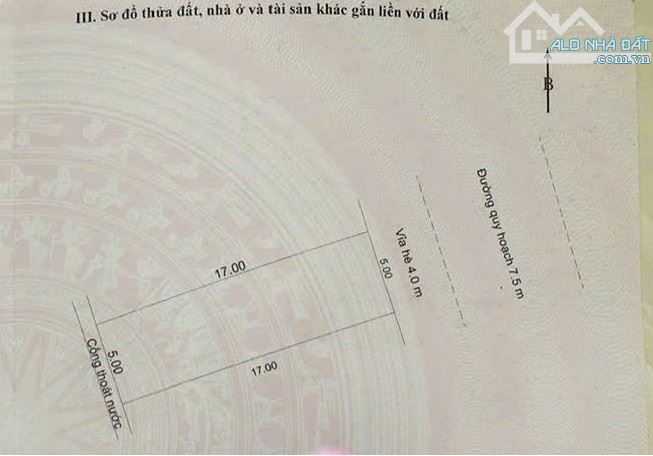 🔥  Đất Mặt Tiền BÙI HIỂN, HOÀ AN, CẨM LỆ – Gía rẻ nhất khu vực 🔥