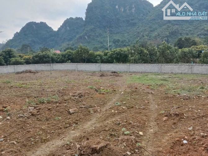 BÁN ĐẤT Ở ĐÔ THỊ TẠI KHU VÔI -THỊ TRẤN BA HÀNG ĐỒI- LẠC THỦY 860M2 3,5 TRIỆU/M2
