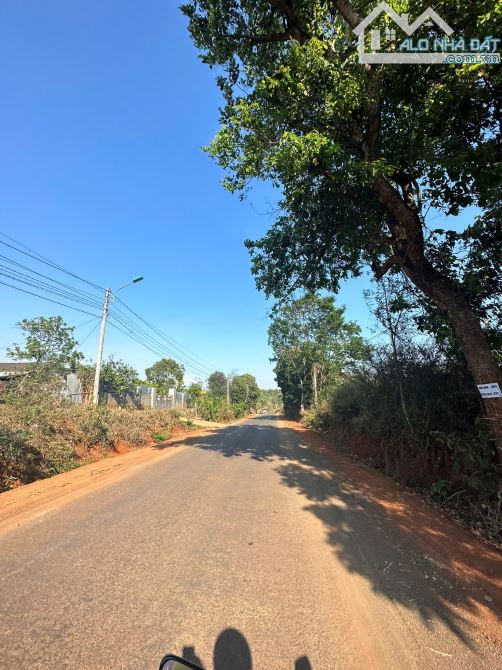 Bán đất 3,5 sào hẻm đường 19/5 tp -bmt