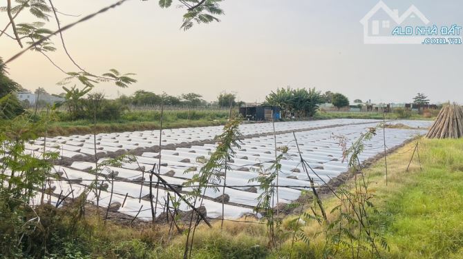 Cơ Hội Vàng! 3018m2 Đất CLN Bình Chánh, Lê Thị Dung - Chỉ 23 tỷ, Sổ Hồng, Đường 10m! - 1