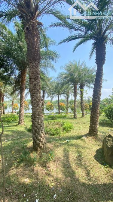 Bán gấp mảnh đất Vườn Hồng Từ Sơn, kinh doanh, đầu tư, 170m - 1