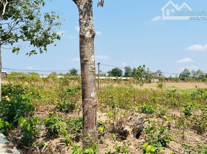 Bán lô đất buôn Niêng 2 xã Ea Noul gần KDL Tro Bưh Buôn Đôn - 1