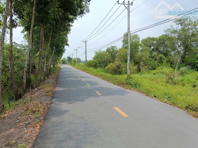 Bán đất mặt tiền đường Cá Lăng, xã Phú Hoà Đông Củ Chi, 49x187m, 7500m², 19.5 tỷ - 1