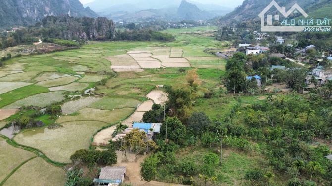 Cao Sơn, Lương Sơn, Hòa Bình - Giá chỉ hơn 1 triệu/m² 1400m 300m thổ cư view cánh đồng - 1