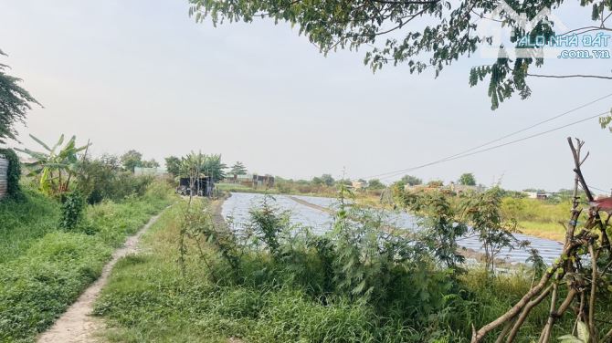 Cơ Hội Vàng Sử Hữu 3018m2 Đất CLN Bình Chánh, Lê Thị Dung - Chỉ 23 tỷ - 2