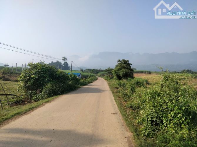 Hơn 900m2 có 187m2 thổ cư tại Phú Vinh, Tân Lạc, Kim Bôi. - 2