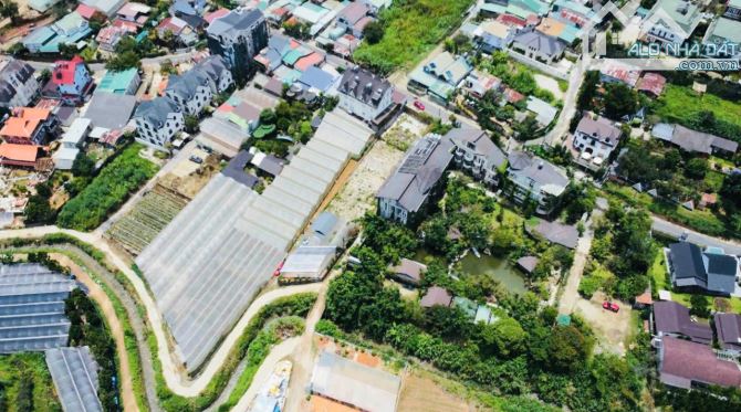 🏡 HẠ GIÁ GIẢM THÊM 1 TỶ ĐẤT 429M2 ĐƯỜNG Ô TÔ AN BÌNH - KHU KINH DOANH LƯU TRÚ HÚT KHÁCH - 2