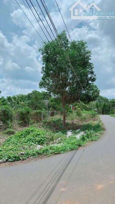 Cần tiền trả nợ Ngân Hàng Tôi cần bán lô góc 2 mặt tiền 9x38 giá 6,7 Triệu/m2 Sổ đỏ - 2