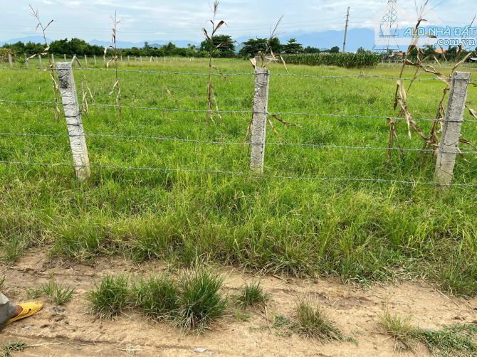 Bán đất vườn Ninh Phụng đối diện quán Mộc Farm view sông Dinh Ninh Hoà - 2