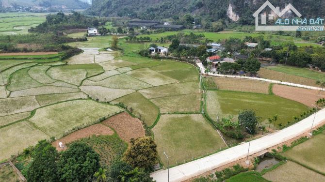 Cao Sơn, Lương Sơn, Hòa Bình - Giá chỉ hơn 1 triệu/m² 1400m 300m thổ cư view cánh đồng - 2