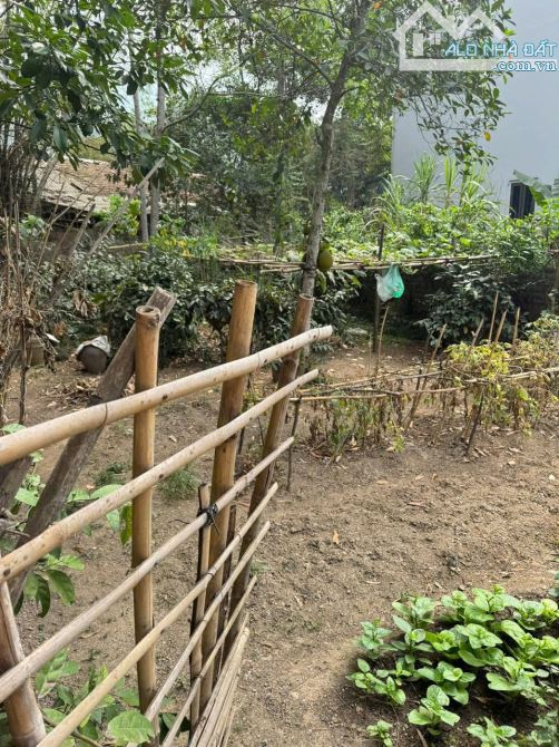 Cần tiền phải bán lô đất 153m2 full TC tại tiểu khu 2 - thị trấn Lương Sơn - 2