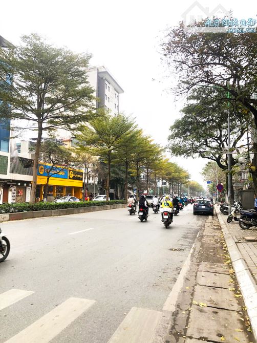 SIÊU KHỦNG-ĐẤT VÀNG KIM MÃ KINH DOANH ĐẮC ĐỊA NHẤT BA ĐÌNH 4 OTO TRÁNH 626M2_MT18M_355TỶ - 2