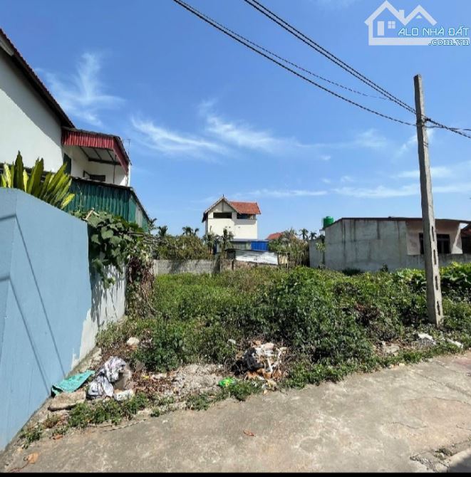 Bán 137m đất Tân Dân Khoái Châu giá 22tr/m - 3