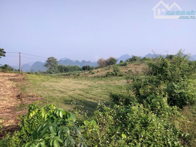 Hơn 900m2 có 187m2 thổ cư tại Phú Vinh, Tân Lạc, Kim Bôi. - 3