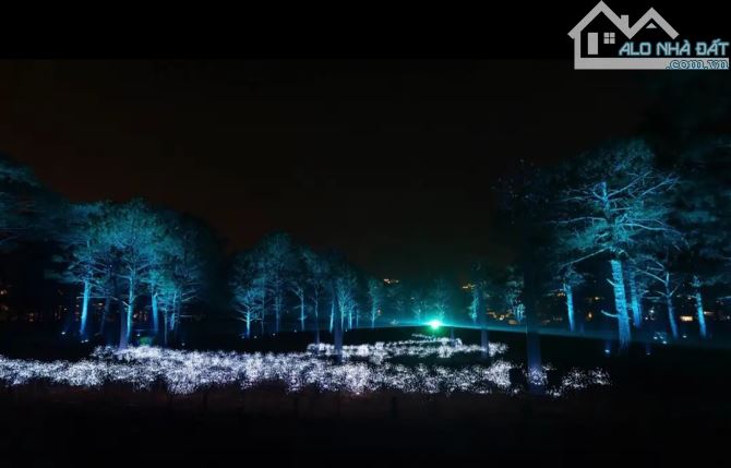 Em bán 3300m² Gần dự án công viên ánh sáng lớn nhất Việt Nam "" Delight Park Đà Lạt """ - 6