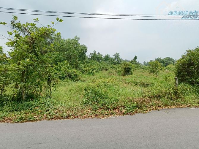 Bán đất mặt tiền đường Cá Lăng, xã Phú Hoà Đông Củ Chi, 49x187m, 7500m², 19.5 tỷ - 4