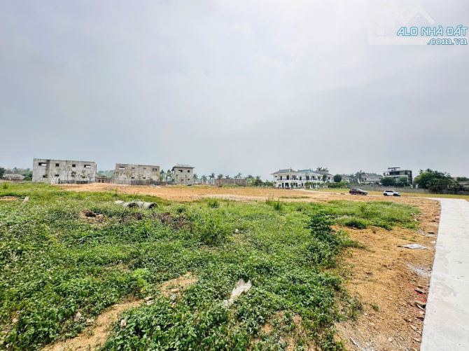 Bán nhanh 3646m² đất đẹp Nhuận Trạch – sát Oasis – đối diện KCN – đầu tư sinh lời cao - 4