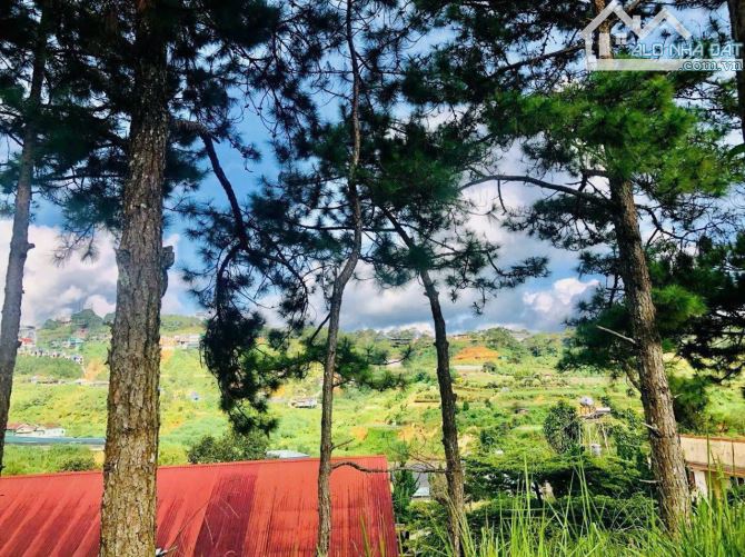 🏡 HẠ GIÁ GIẢM THÊM 1 TỶ ĐẤT 429M2 ĐƯỜNG Ô TÔ AN BÌNH - KHU KINH DOANH LƯU TRÚ HÚT KHÁCH - 6