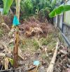 Cần bán mãnh đất vị trí đẹp xã tân mỹ chánh