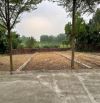 91m đường thông rẻ nhất, cạnh khu phân lô đồi sen đẹp nhất, bán nhanh giá tốt