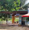 🌈🌟Nhà Vườn Rộng Thoáng Hẻm Y WANG - EAKAO (12x30m👉2,29 tỷ)