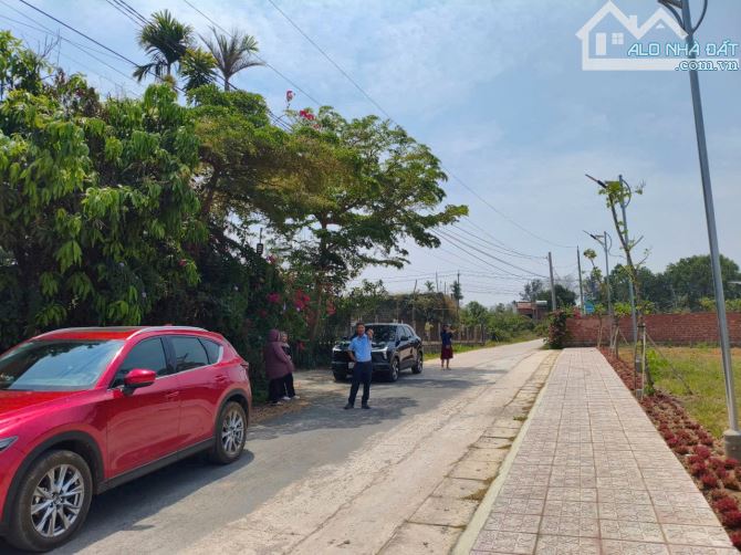 💥Đất sau cf Thông Reo - N