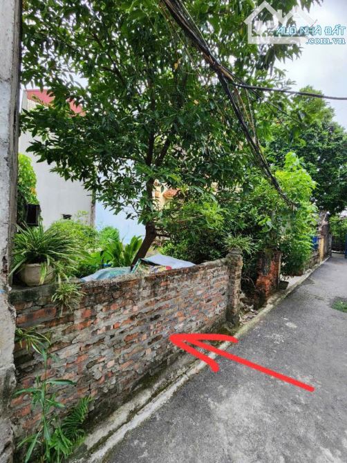 💸 BÁN ĐẤT NGHĨA TRỤ – VĂN GIANG – 160m mặt tiền rộng đường thông hàng xóm Vinhome - 2
