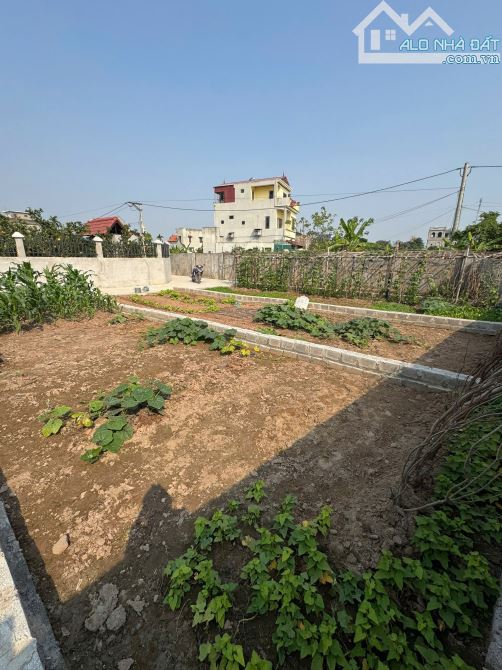 BÁN ĐẤT CHƯƠNG LỘC – CHƯƠNG DƯƠNG – THƯỜNG TÍN – 48,1M² – NGÕ RỘNG Ô TÔ – GẦN TRỤC CHÍNH