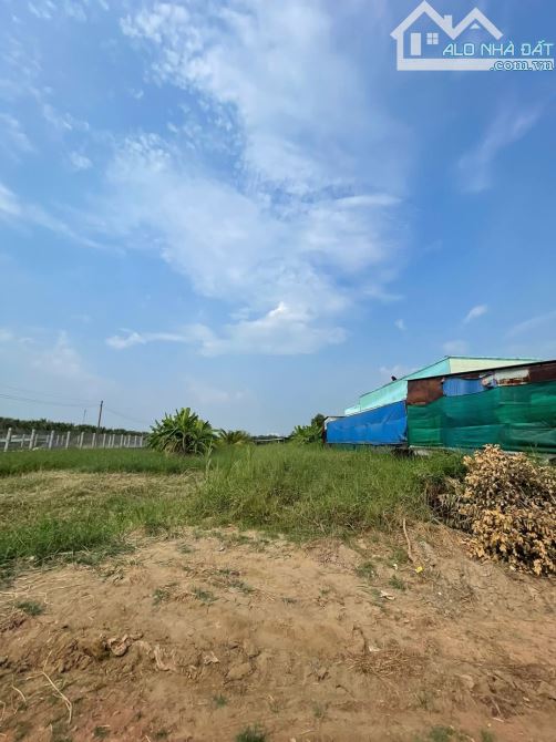 Đất Mt đường Huỳnh Hoàng Hiển, P7 TP Tân An, Long An - 1