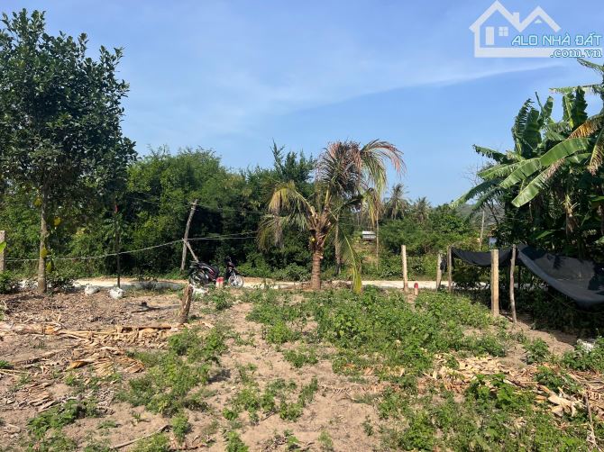 ĐẤT RẺ CẦN BÁN* HOÀ THIỆN 1 - NINH AN _ thị xã NINH HOÀ💥 - 1