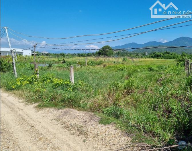 Ngộp Quá Bán Nhanh-Đất Thôn 2-Hàm Liêm-Lâm Đồng-10.300m2+11.400m2 - 1