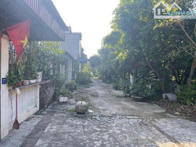 NHÀ ĐẸP 1 TẦNG – ĐƯỜNG THANH NIÊN – ĐỒ SƠN – CHỈ 2,6 TỶ - 1