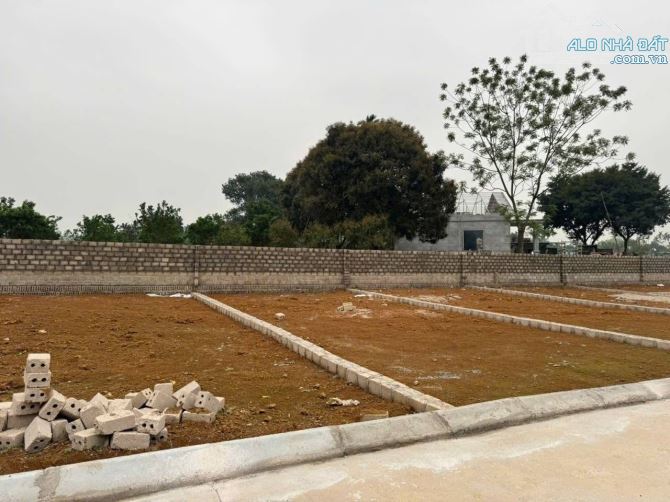 Chỉ 450tr sở hữu lô đất đẹp DT 80m2 mặt tiền 5,5m đường rộng 5m Thanh Cao-Lương Sơn-HB - 1