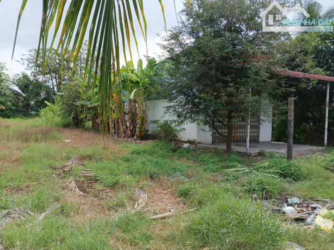 Đất hẻm đường Châu Thị Kim, gần trường tiểu học An Vĩnh Ngãi, TP Tân An tỉnh Long An - 1