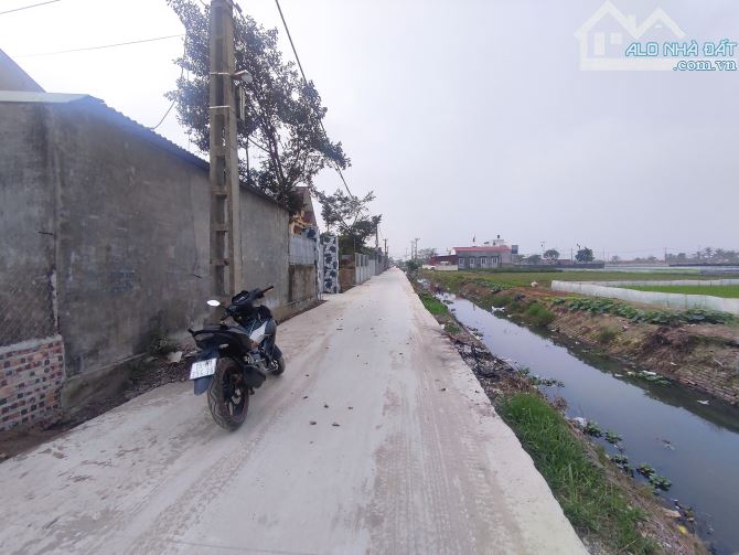 Kim Đới,Tiên Thanh,Hải Phòng. Đối diện KHu công nghiệp Tiên Thanh - 1