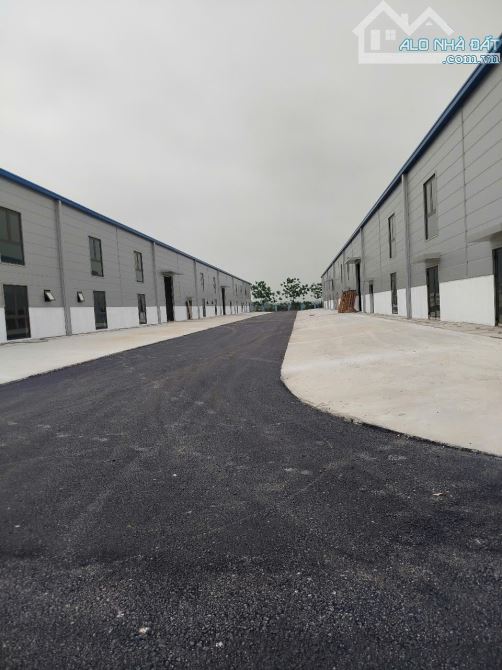 Cho thuê nhà xưởng rộng 6000m nhà xưởng khug Zami chắc chắn xưởng thoáng PCCC đầy đủ. - 1