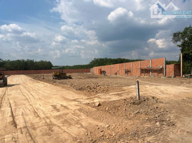 BÁN ĐẤT SKC LONG NGUYÊN BÀU BÀNG BÌNH DƯƠNG - 1
