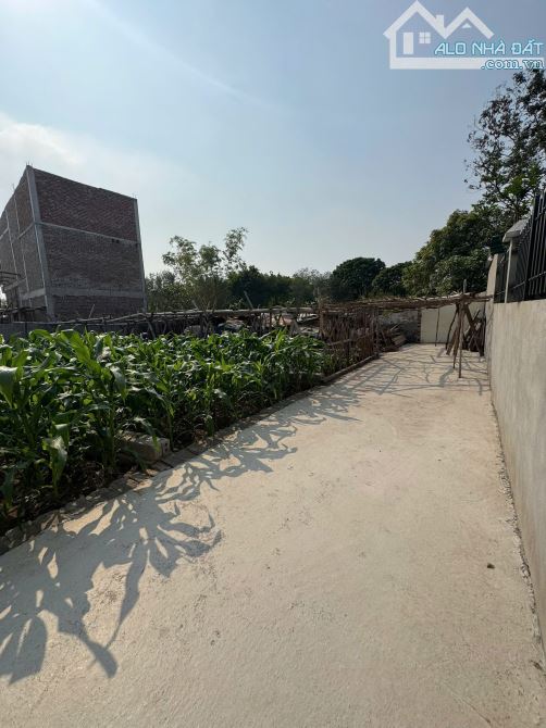 BÁN ĐẤT CHƯƠNG LỘC – CHƯƠNG DƯƠNG – THƯỜNG TÍN – 48,1M² – NGÕ RỘNG Ô TÔ – GẦN TRỤC CHÍNH - 1